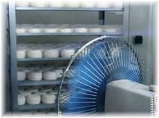 fromagerie4