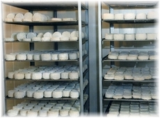 fromagerie5